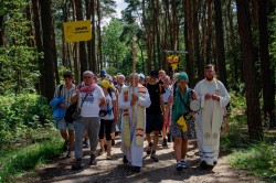 517020728 752403620466440 n 517020728 752403620466440 n